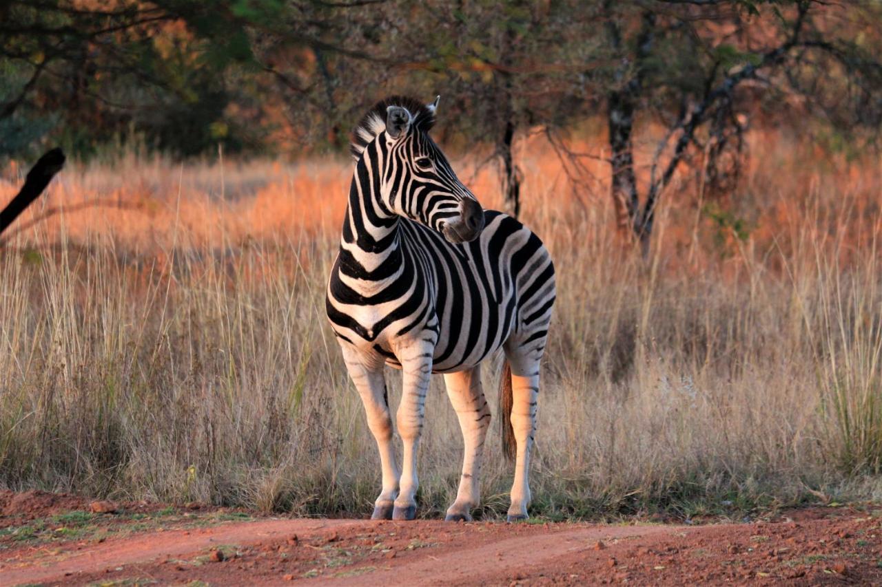 Bass Lake Country Lodge Pretoria-Noord Exteriör bild